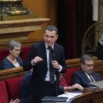 Cataluña asegura que la mayoría de los jabalíes cazados en Collserola no tienen peste porcina