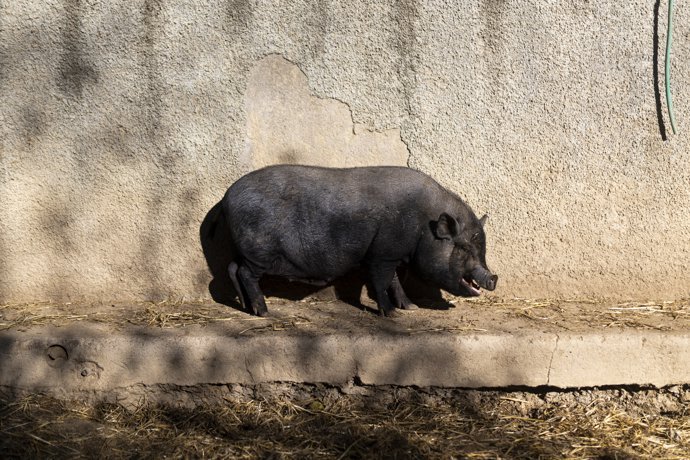 V&iacute;deo de la noticia