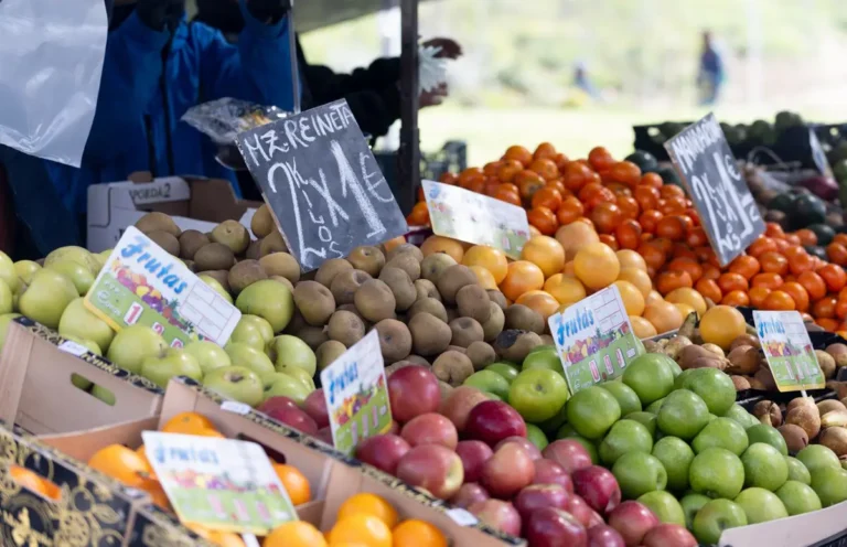 El gasto en alimentación de los hogares se redujo un 6,3% en 2024, mientras que el de vehículos